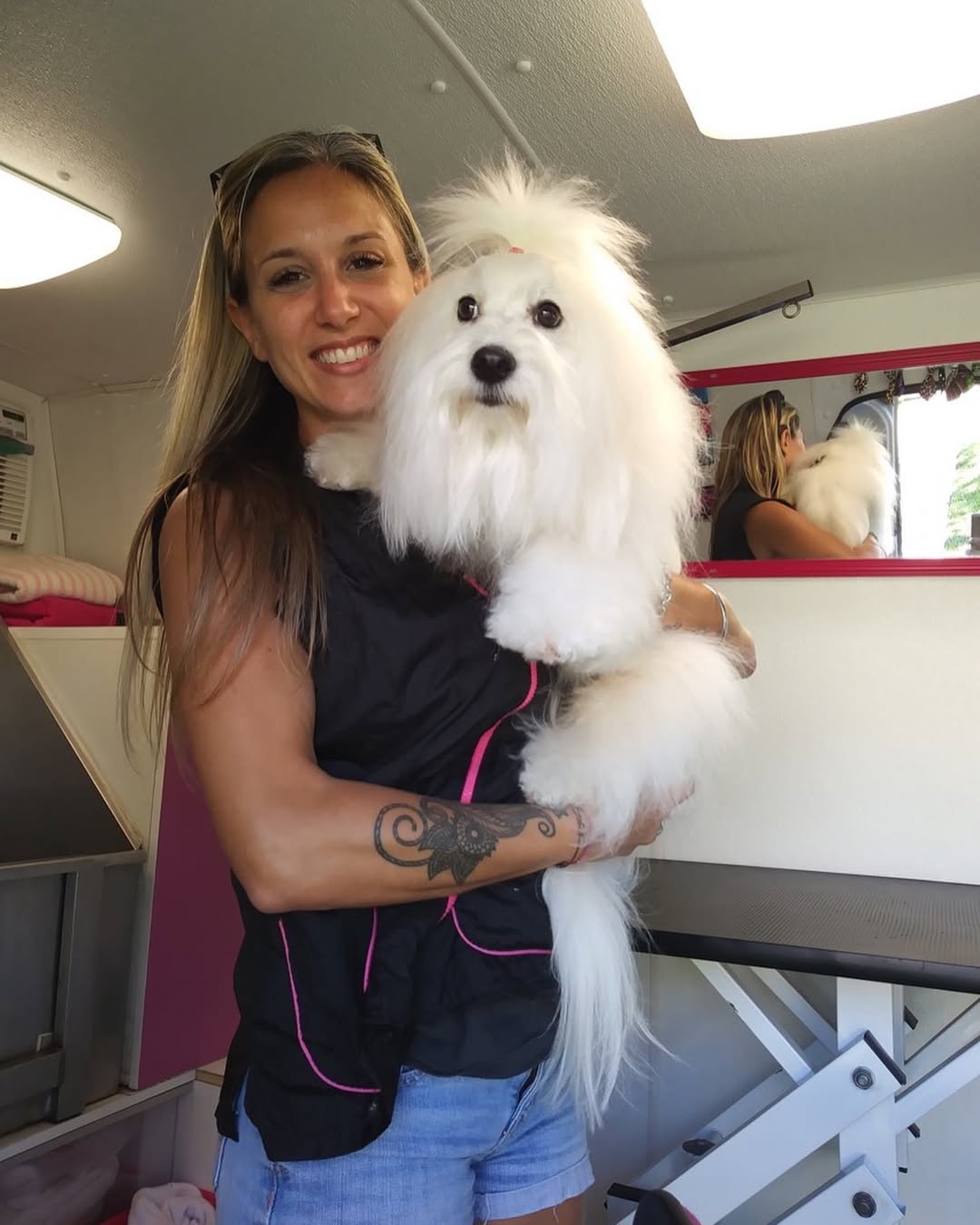 Groomed dog - Pimp My Dog Miami